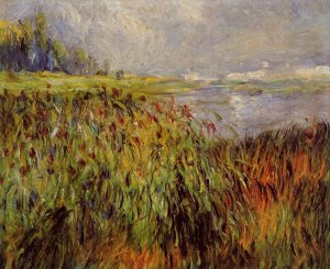 Bulrushes On The Banks Of The Seine